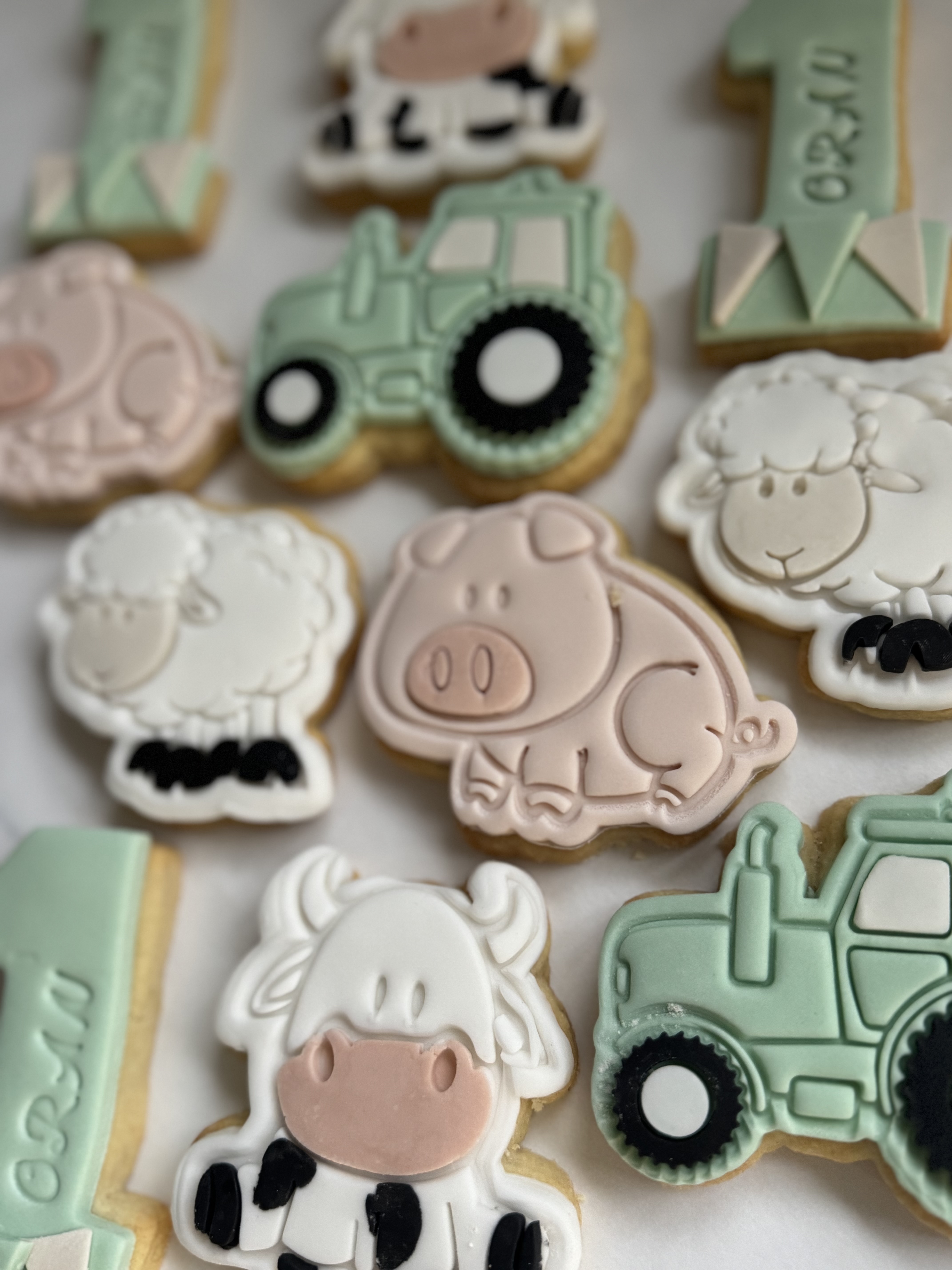 Biscuits example 19