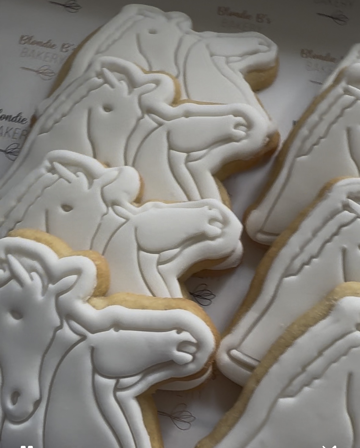 Biscuits example 28