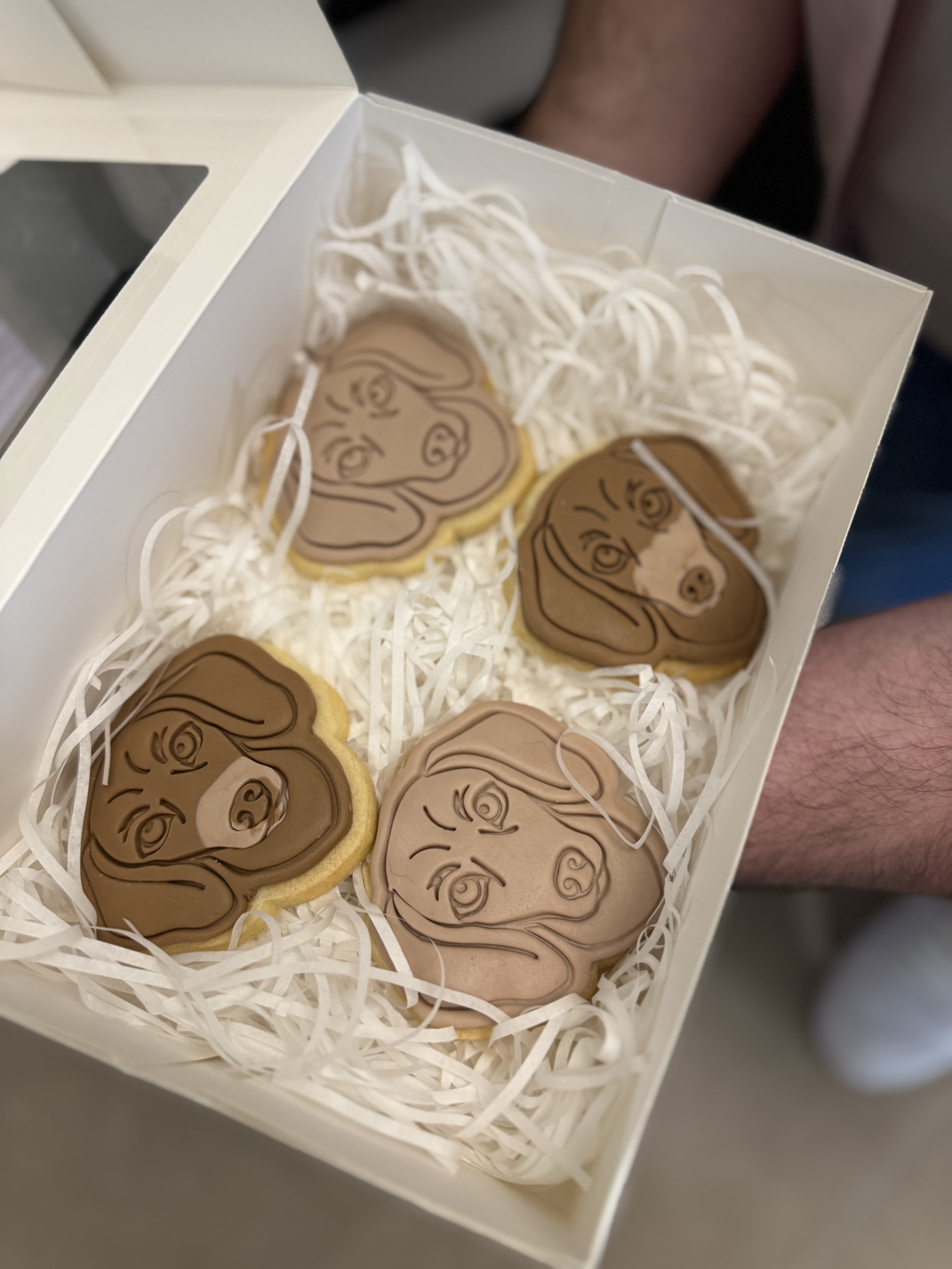 Biscuits example 21
