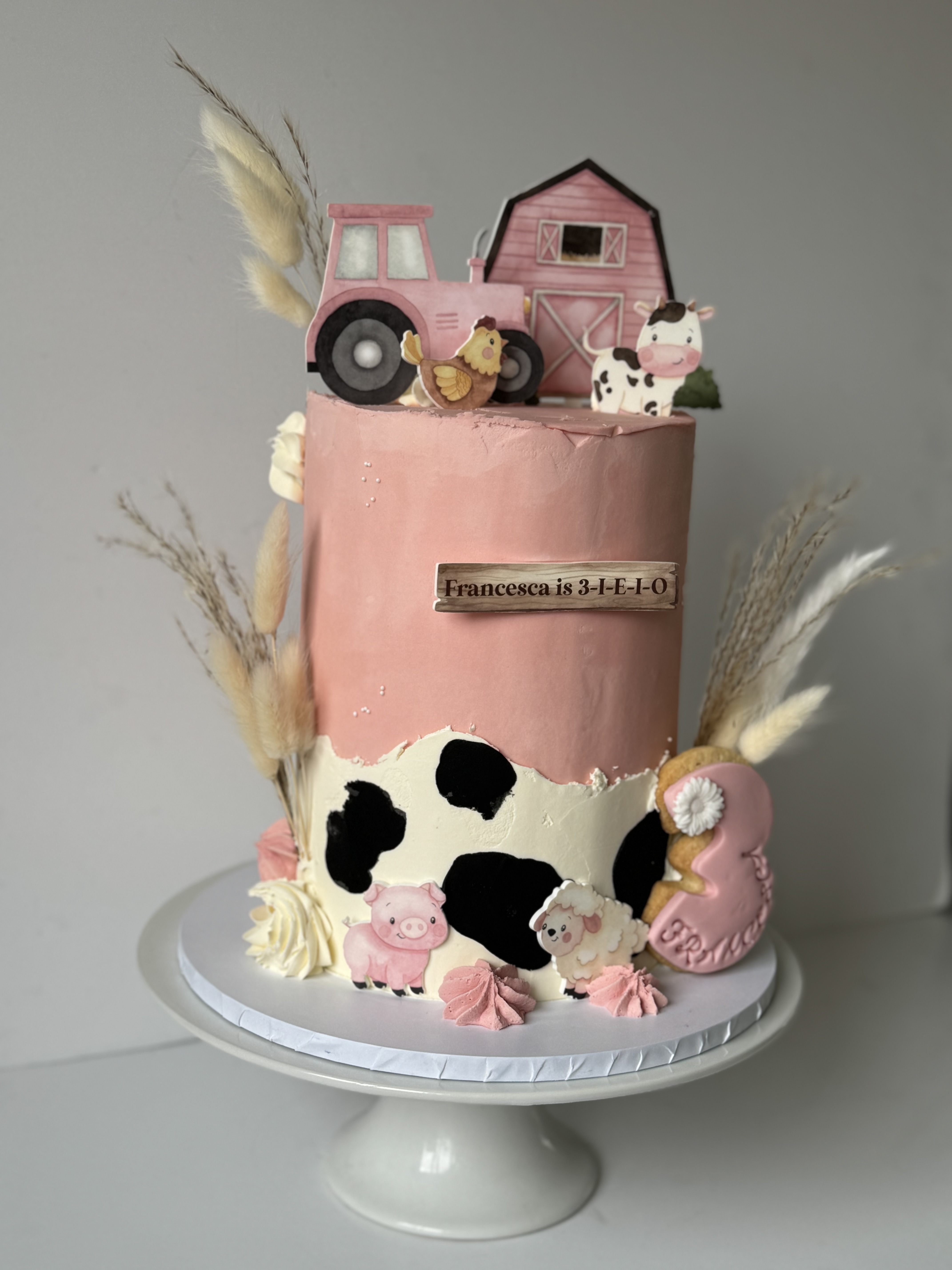 Celebration Cakes example 28