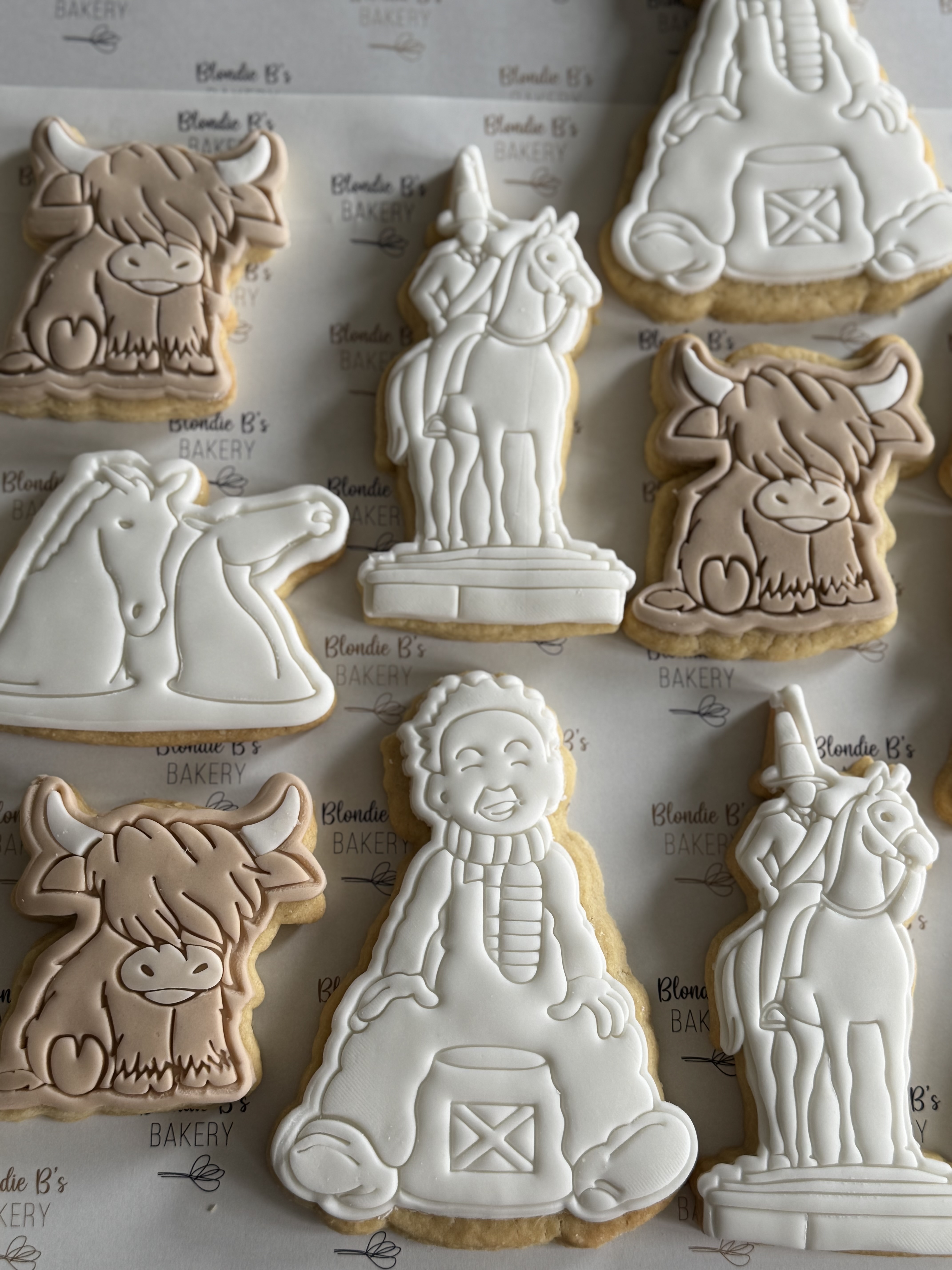 Biscuits example 6