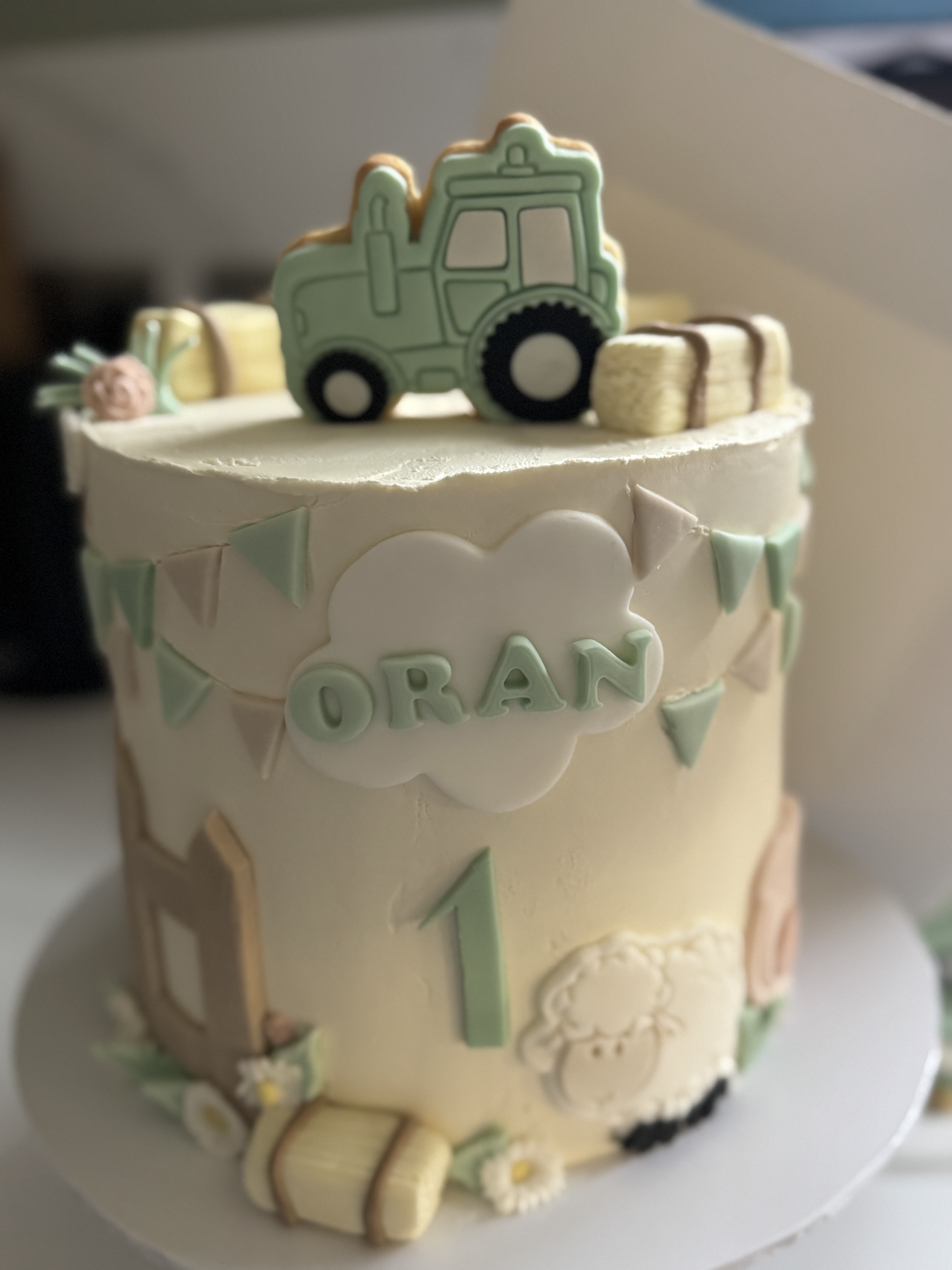 Celebration Cakes example 14